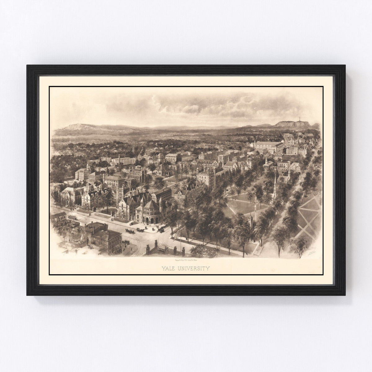 Vintage Map of Yale University, 1906