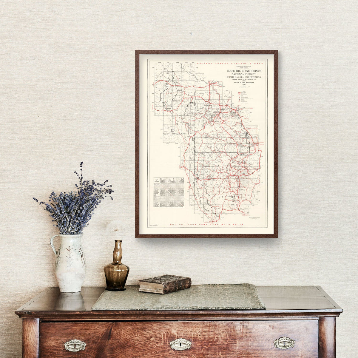 Vintage Black Hills & Harney National Forest Map 1934