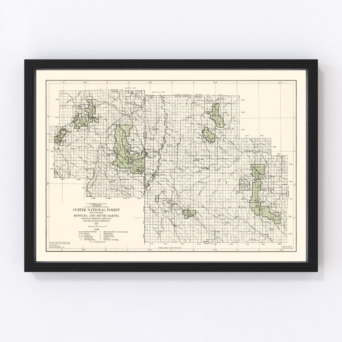 Vintage Custer National Forest Map 1938