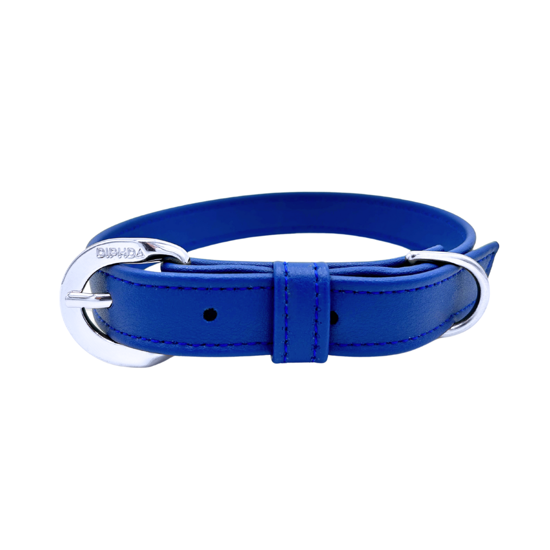 Galactic Blue Cactus Collar
