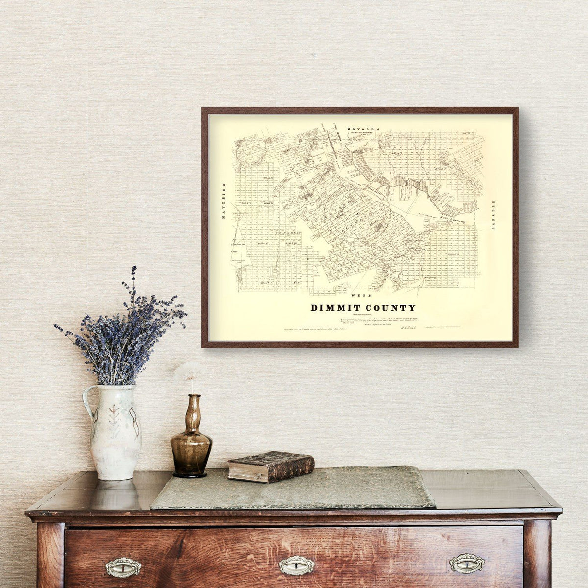 Vintage Map of Dimmit County, Texas 1879