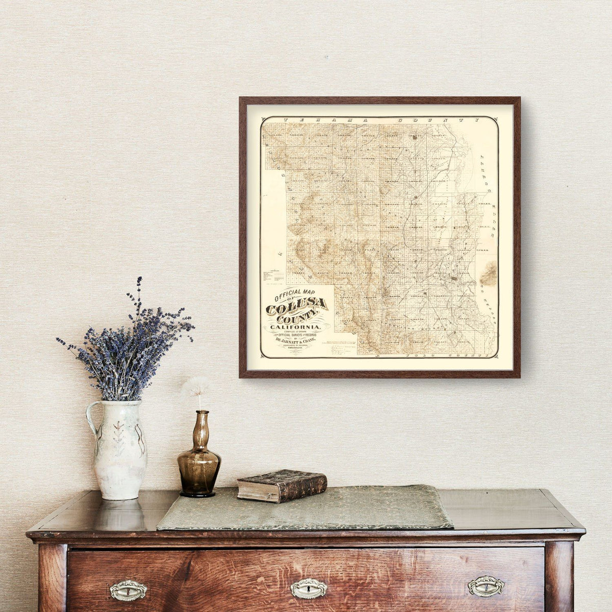 Vintage Map of Colusa County, California 1885