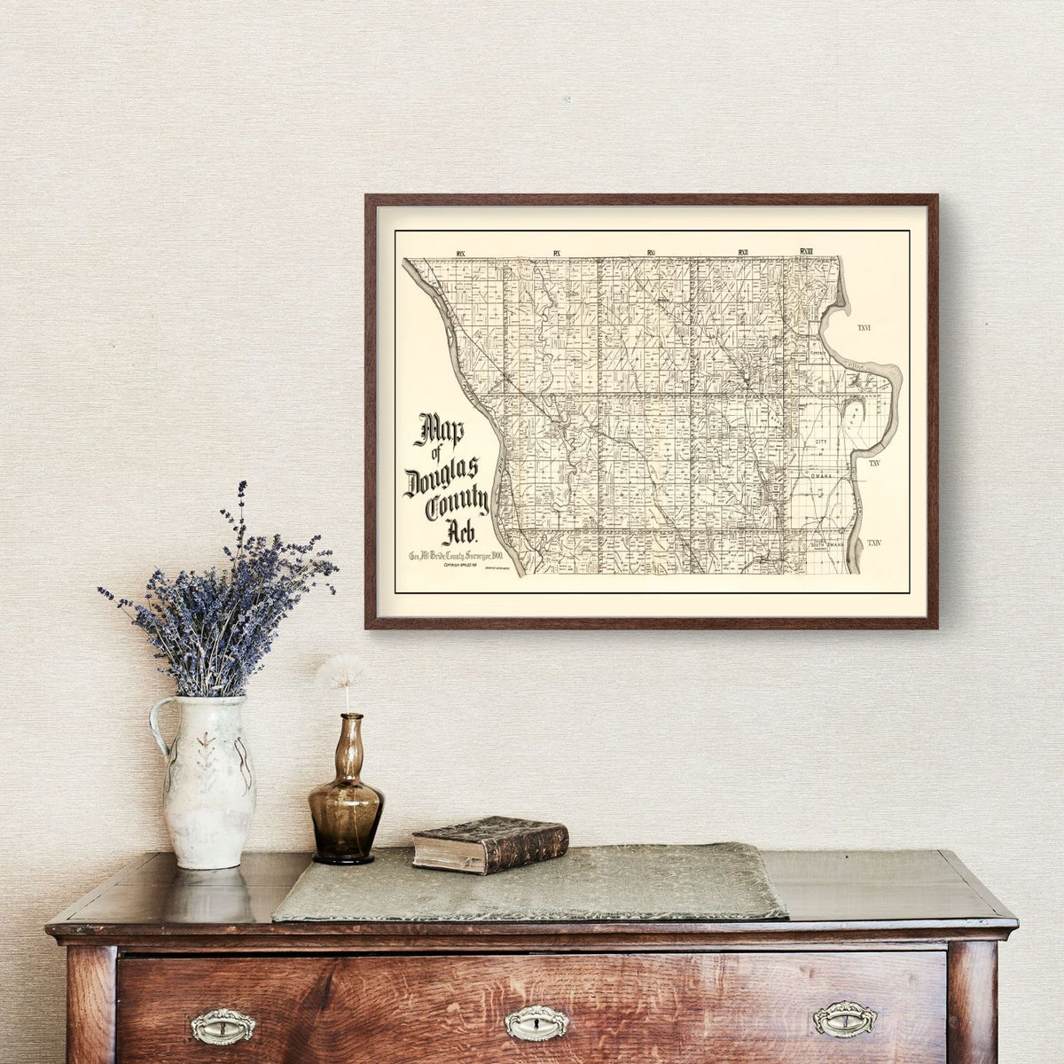 Vintage Map of Douglas County, Nebraska 1900