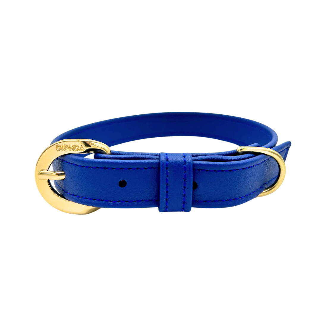 Galactic Blue Cactus Collar