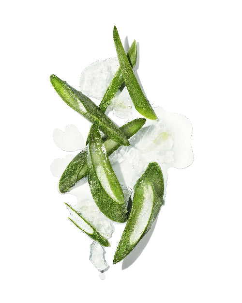 MASAMI Mekabu Hydrating Conditioner