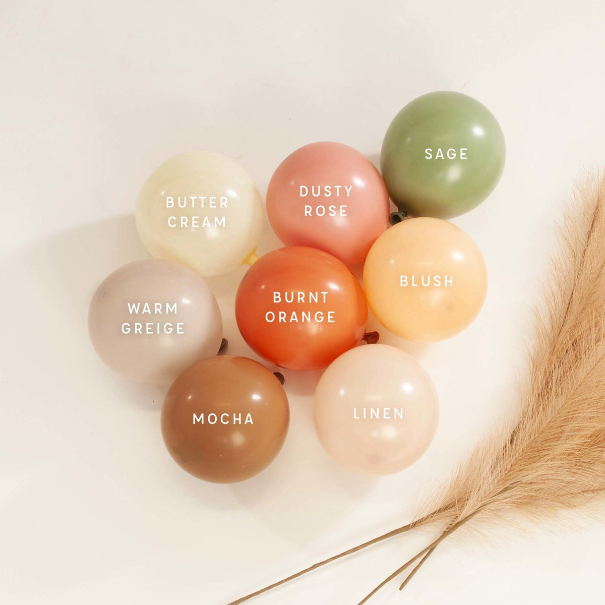Premium Buttercream Latex Balloon Cluster (5", 11” and 17”)