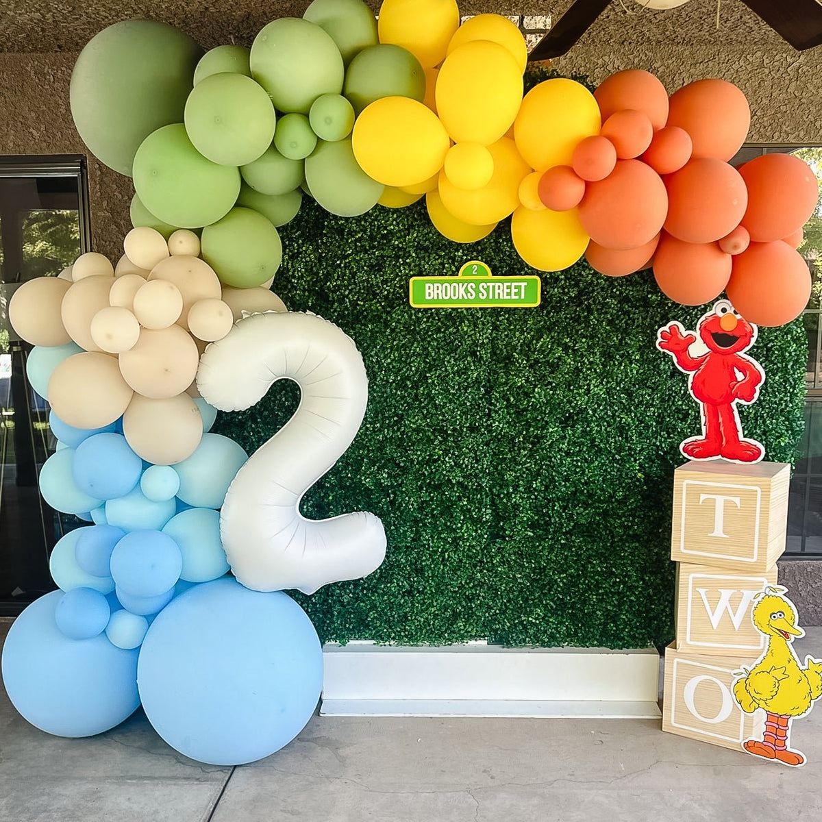 Neutral Rainbow Sesame Street Balloon Garland Kit
