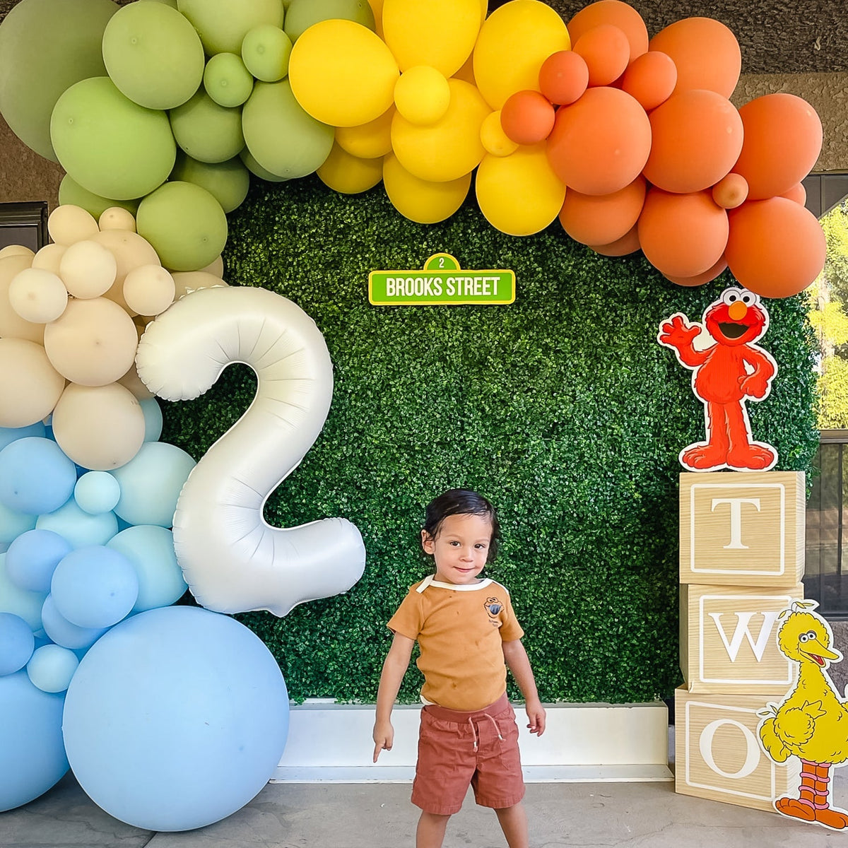 Neutral Rainbow Sesame Street Balloon Garland Kit