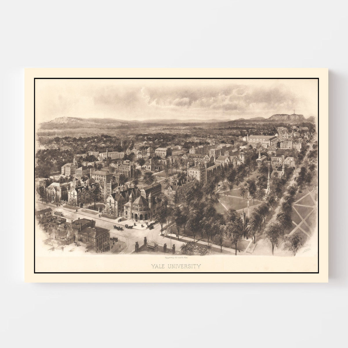 Vintage Map of Yale University, 1906