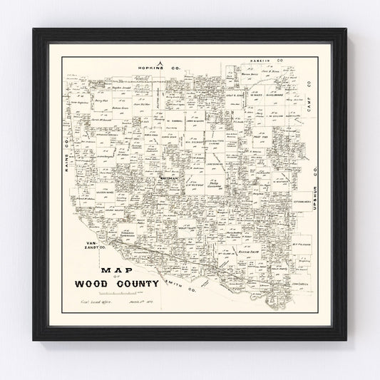Vintage Map of Wood County, Texas 1877