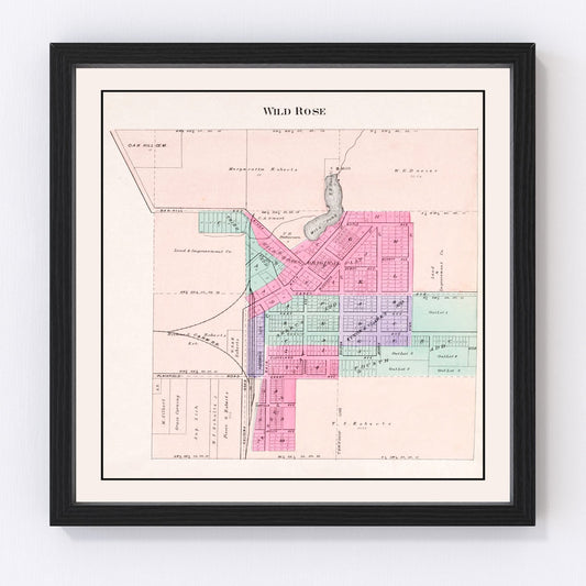 Vintage Map of Wild Rose, Wisconsin 1906