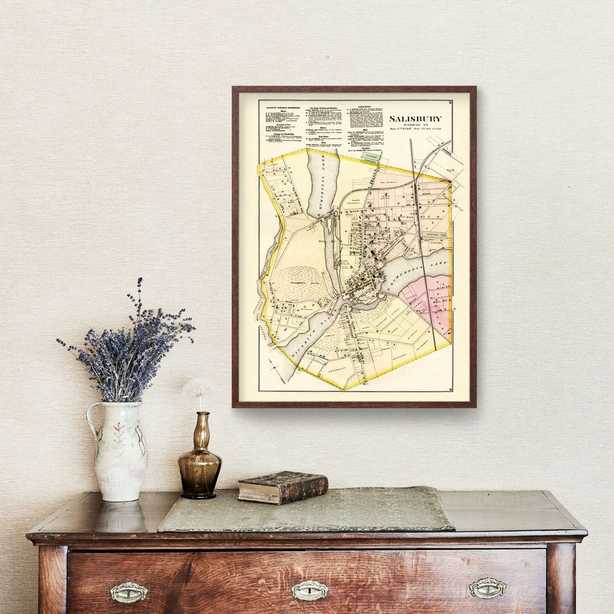 Vintage Map of Wicomico County, Maryland 1877