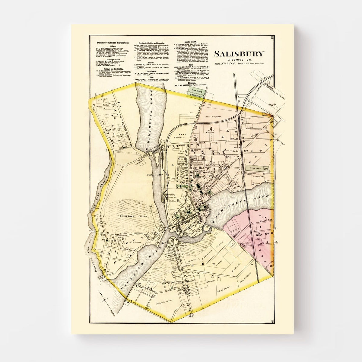 Vintage Map of Wicomico County, Maryland 1877
