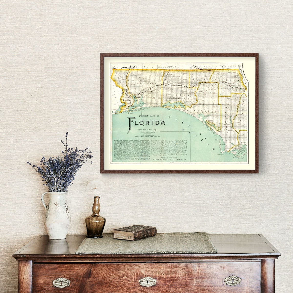 Vintage Map of Florida 1890