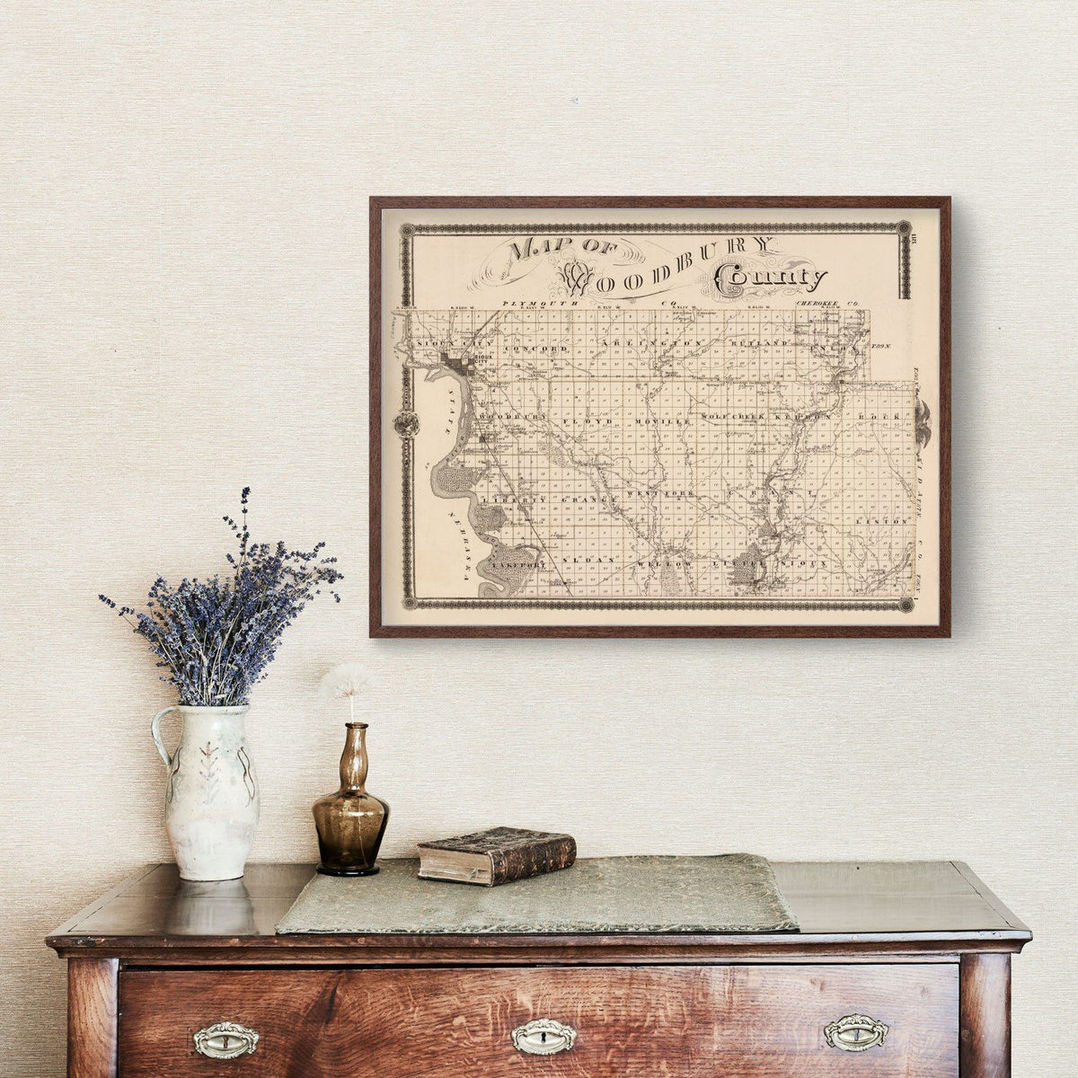 Vintage Map of Woodbury County, Iowa 1875