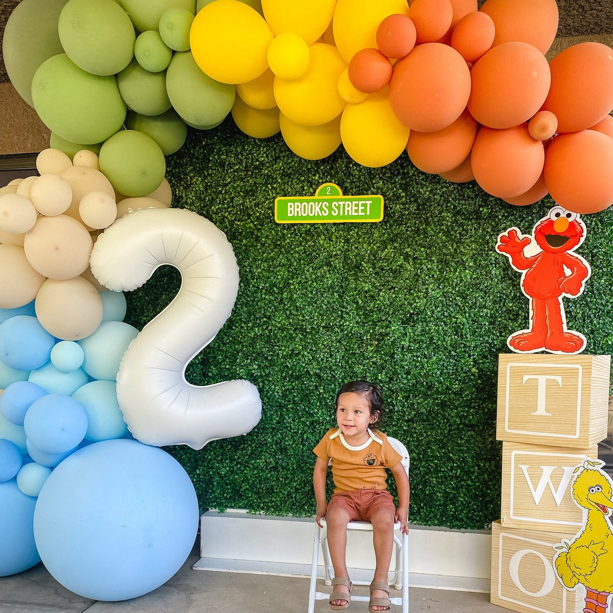Neutral Rainbow Sesame Street Balloon Garland Kit